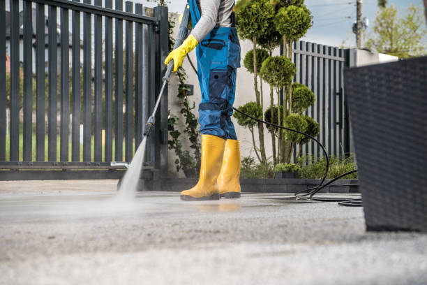 Best Vinyl Siding Pressure Washing in Ashley, PA